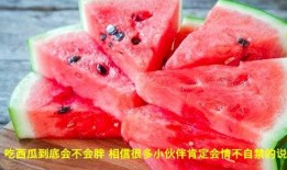 西瓜免费吃瓜视频,跟随视频一起体验西瓜免费吃瓜狂欢